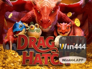 444WIN PIX instantâneo Brasil - Depósito e saque em minutos 24/7